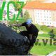 Uživatel: Molnár