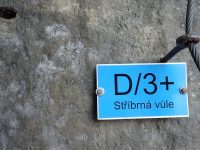 Stříbrná vůle