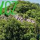 varpanorama_ut_topo-80x80.jpg