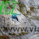 daubenhorn-029-80x80.jpg