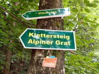 Alpiner Grat