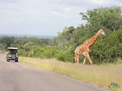 Krugerův národní park