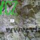 enspigl-9-1-80x80.jpg