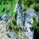 20190705_102814-effects-80x80.jpg