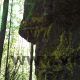 img_20200820_095312-1-80x80.jpg?v=1614331303