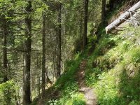 Riederklamm Klettersteig