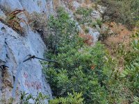 Via ferrata Avalon