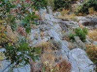 Via ferrata Avalon